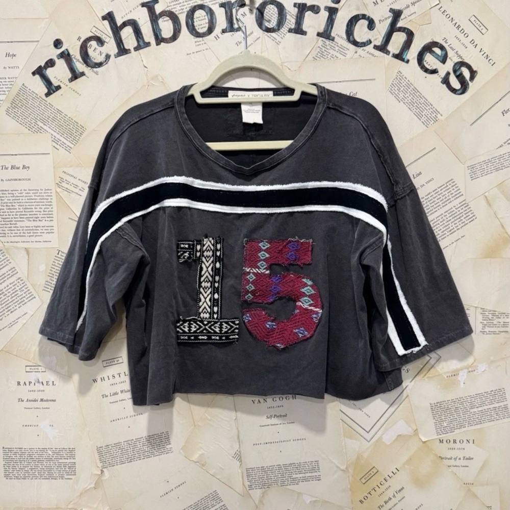 Free People Tricia Fix Grapic Cropped Tee #15 Graphic Stripes Oversized Grey